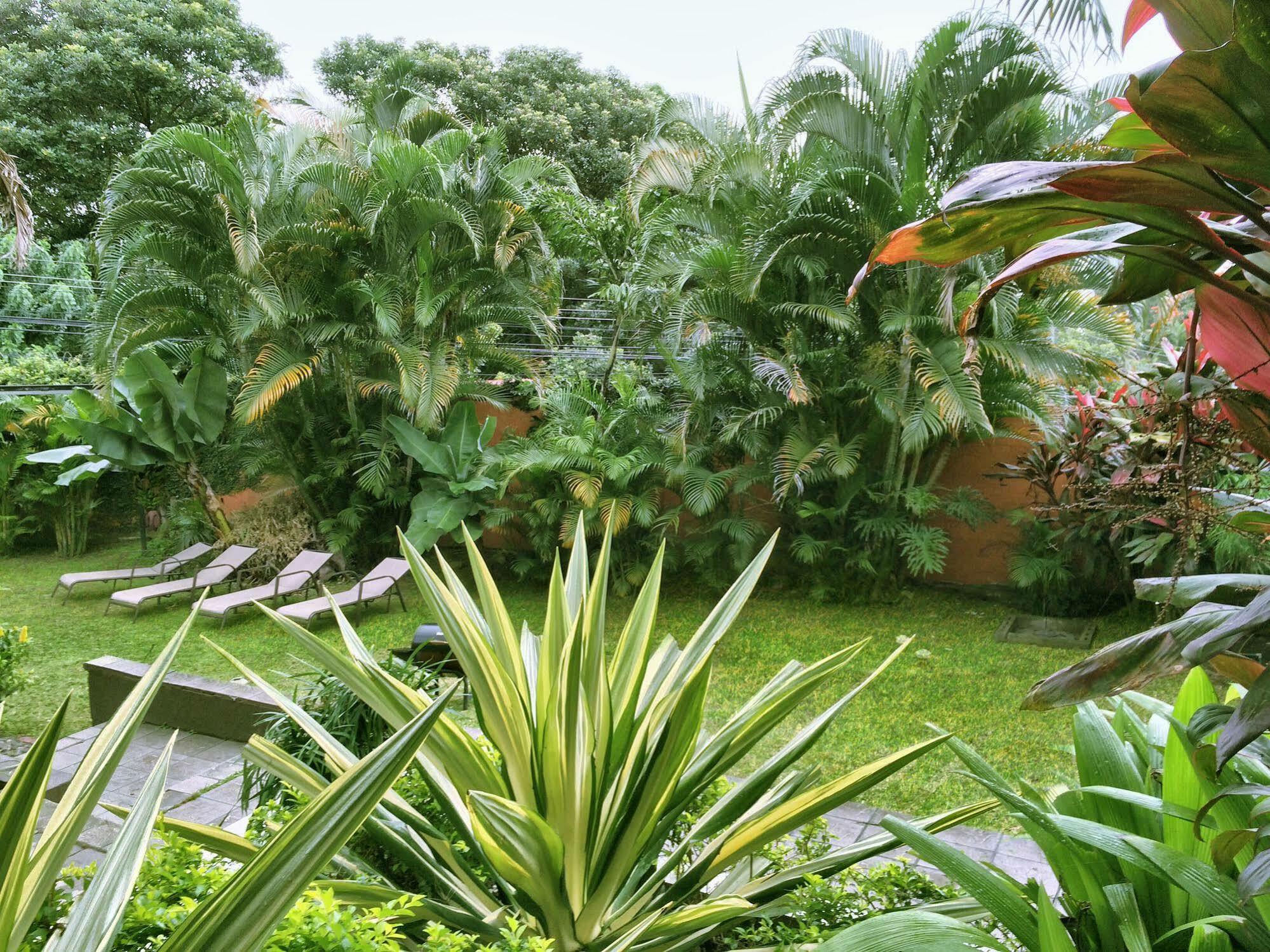 Hotel Dream House Escazu サンホセ エクステリア 写真
