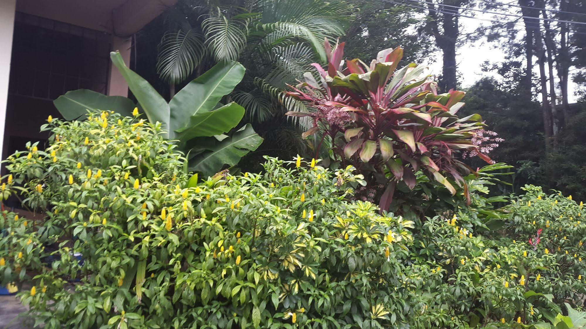 Hotel Dream House Escazu サンホセ エクステリア 写真